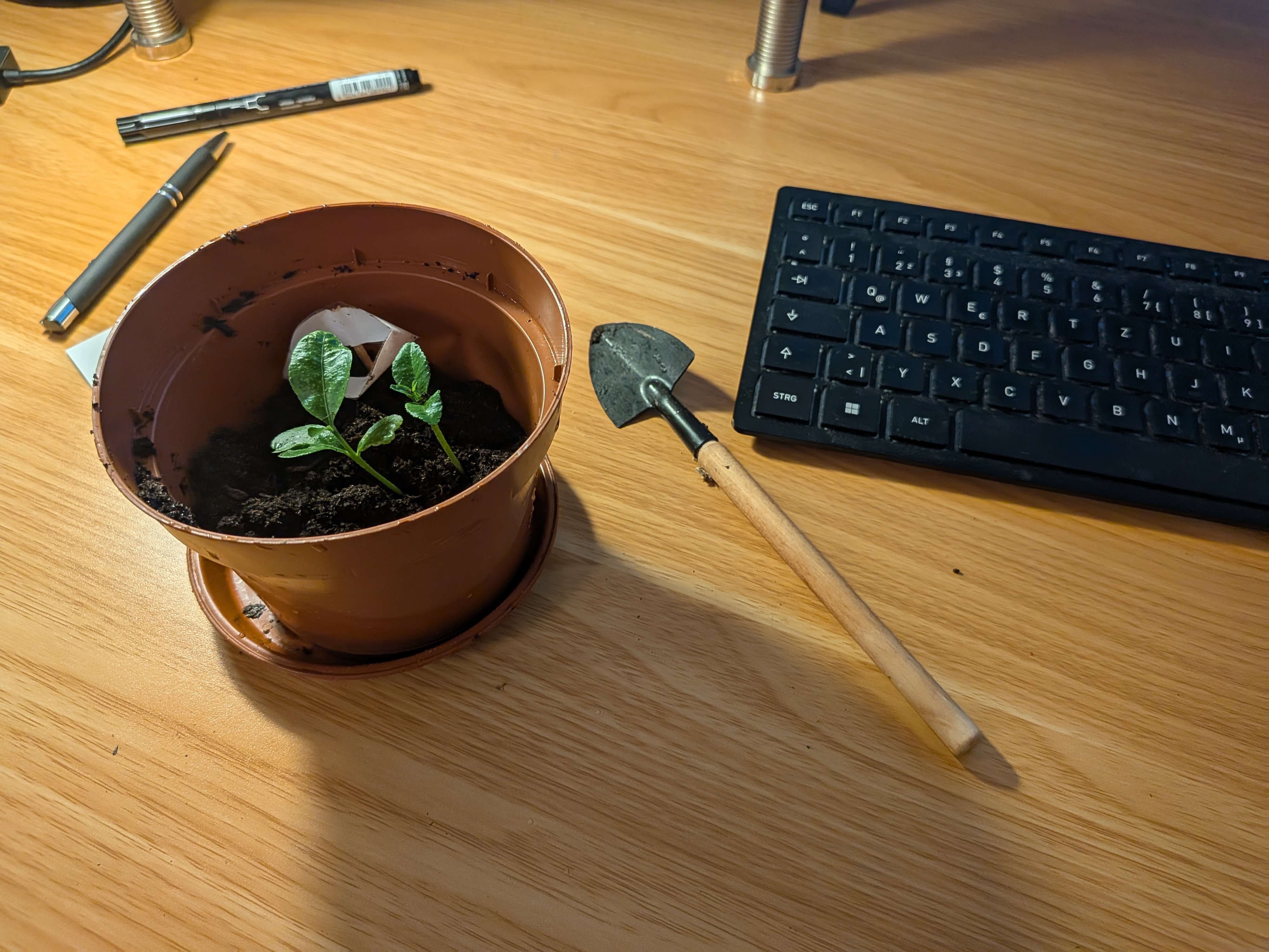 Plant Overview